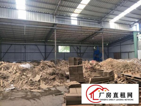  桥头镇原房东单一层4200平方独院厂房出租，可分租