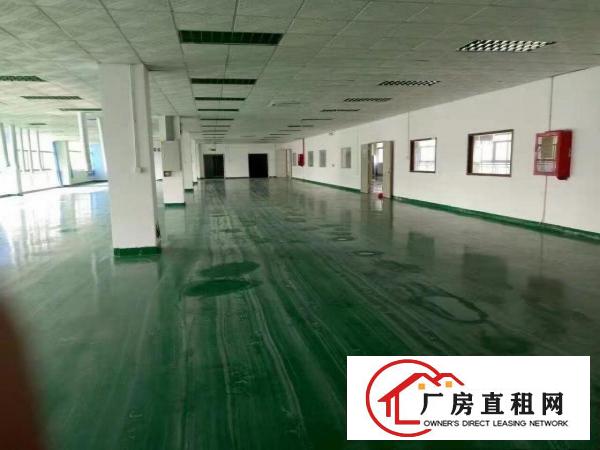  桥头车站附近原房东标准独院厂房出租，豪华装修