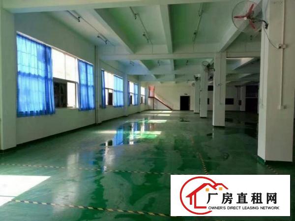  桥头车站附近原房东标准独院厂房出租，豪华装修