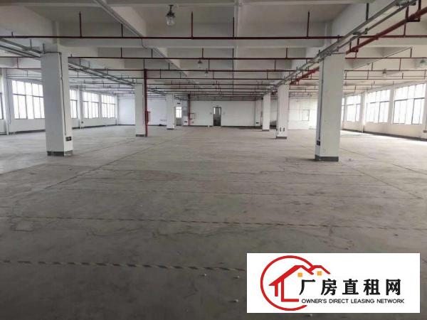  桥头镇新出经典独院厂房4000平方，可整租可分租。