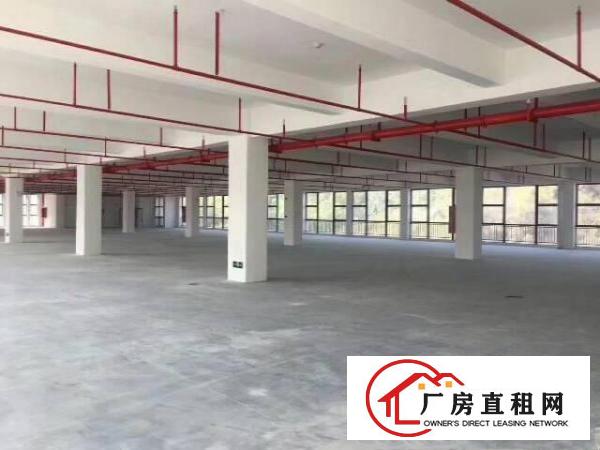  桥头镇新出经典独院厂房4000平方，可整租可分租。