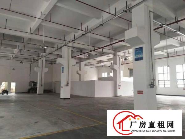  桥头镇分租原房东独门独院标准厂房一楼1600平方，无公摊
