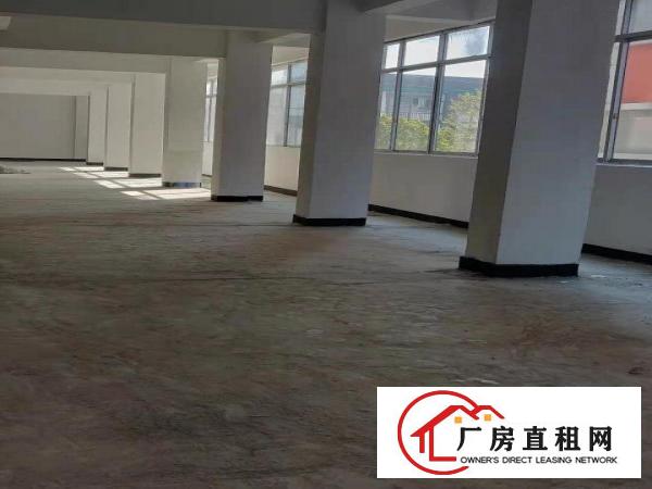  常平木棆1323平厂房出租，工业用地，可环评，空地大停车位多