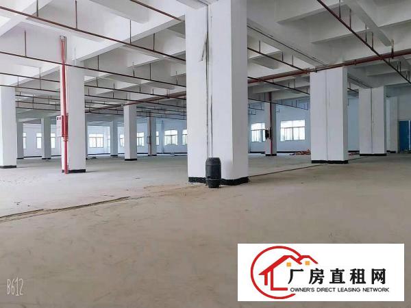  常平木棆1323平厂房出租，工业用地，可环评，空地大停车位多