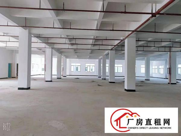  常平木棆1323平厂房出租，工业用地，可环评，空地大停车位多