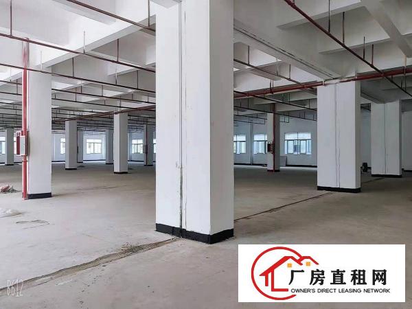  常平木棆1323平厂房出租，工业用地，可环评，空地大停车位多