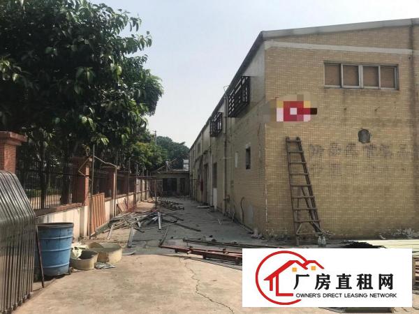  东莞桥头新出独门独院钢构单一层厂房2000平方出租可做污染