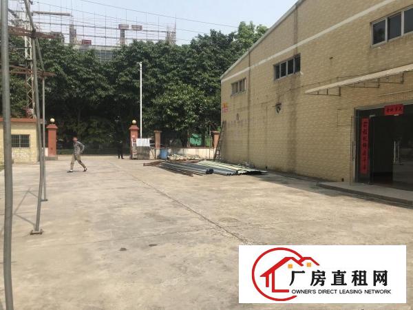  东莞桥头新出独门独院钢构单一层厂房2000平方出租可做污染