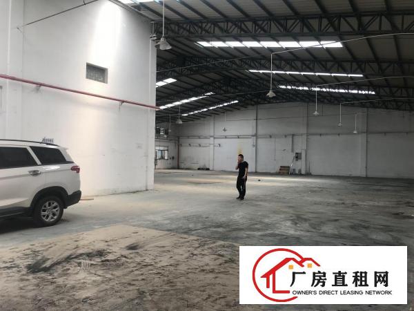  东莞桥头新出独门独院钢构单一层厂房2000平方出租可做污染