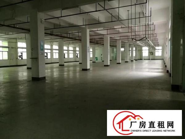  桥头镇原房东一楼800平带办公室现成装修水电到位入驻即可生产