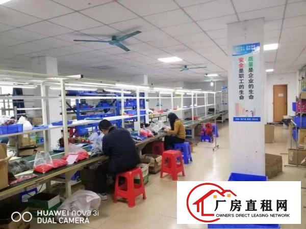  桥头镇分租原房东独院标准厂房二楼1100平方出，租价格便宜