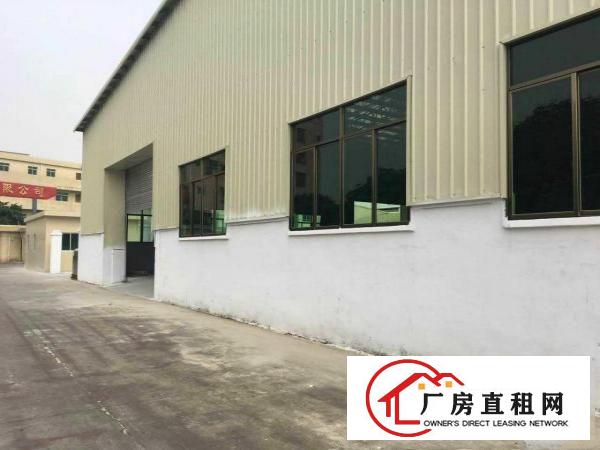  东莞桥头镇新出单一层钢结构厂房750平方出租