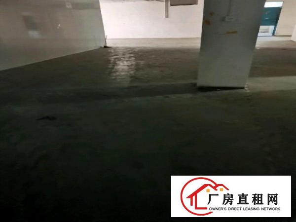  原房东实际面积出租（实业客转租）
