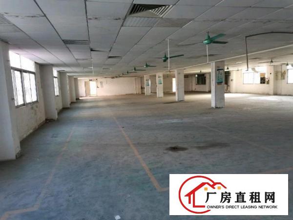  原房东实际面积出租（实业客转租）