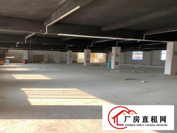  独院厂房招租,环境/位置优,免费送停车位6个