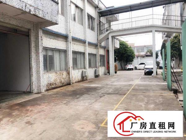  （出租）常平苏坑标准厂房一楼和二楼各1200平带精装修