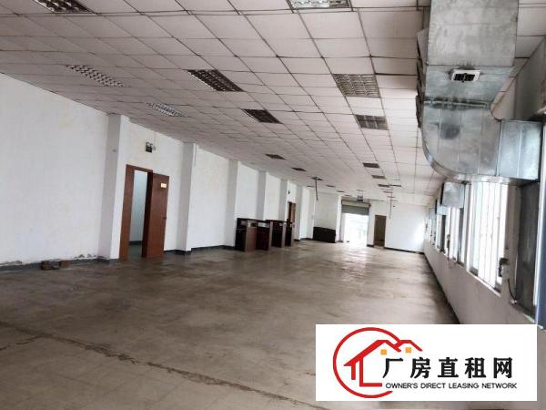  （出租）常平苏坑标准厂房一楼和二楼各1200平带精装修