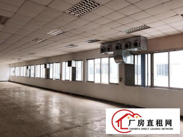  （出租）常平苏坑标准厂房一楼和二楼各1200平带精装修