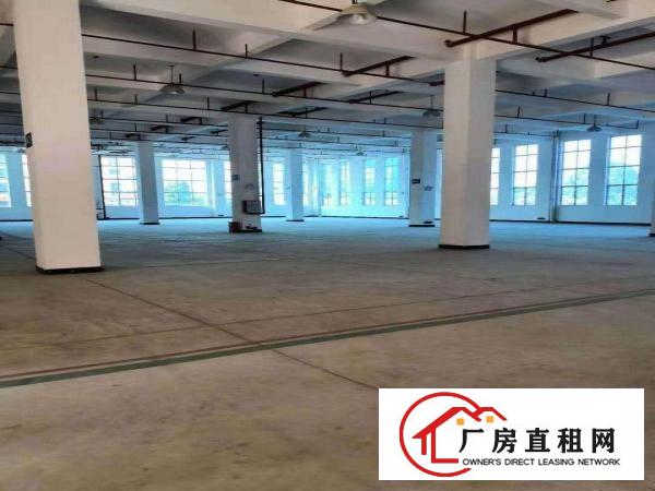  出租常平镇大京九仓库12800平招租，可分租