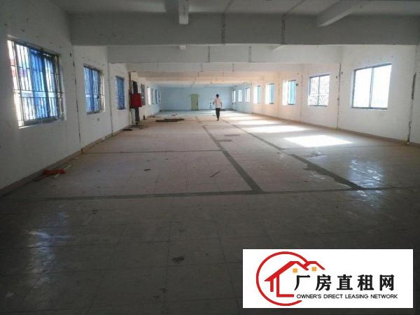  独院内厂房，有停车场，单一层