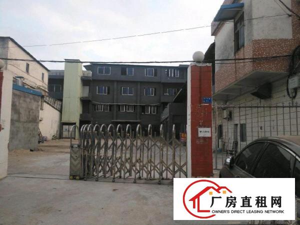  独院内厂房，有停车场，单一层