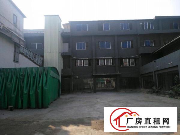  电梯独院，房东平价厂房出租