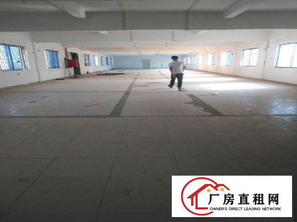  电梯独院，房东平价厂房出租