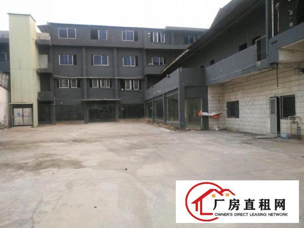  电梯独院，房东平价厂房出租
