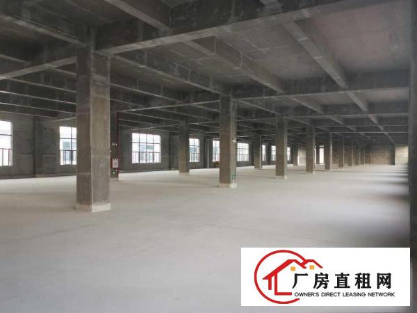  常平和谢岗交界厂房招租（非中介）