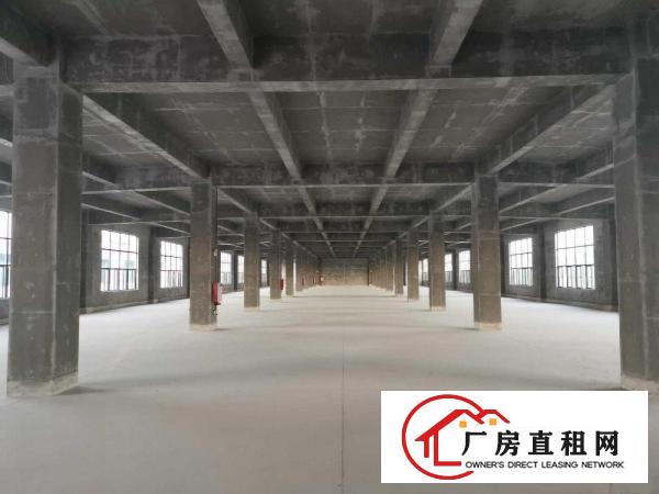  常平和谢岗交界厂房招租（非中介）