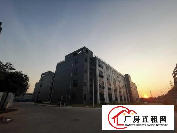  常平和谢岗交界厂房招租（非中介）
