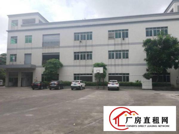  下墟新出原房东标准厂房一楼800平米出租形象好