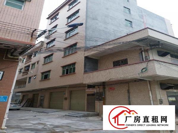  全新民建厂房500平