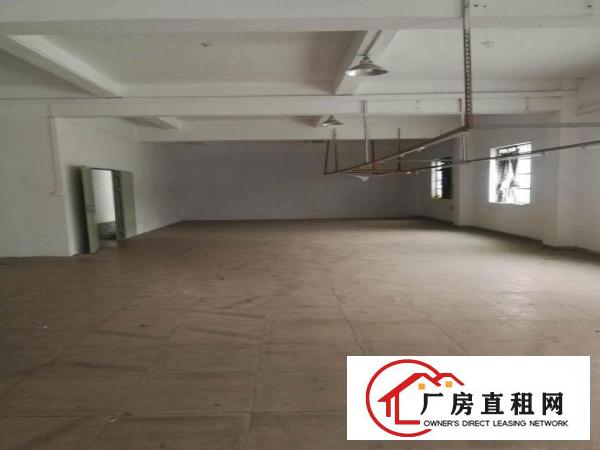  袁山贝新出厂房800平方
