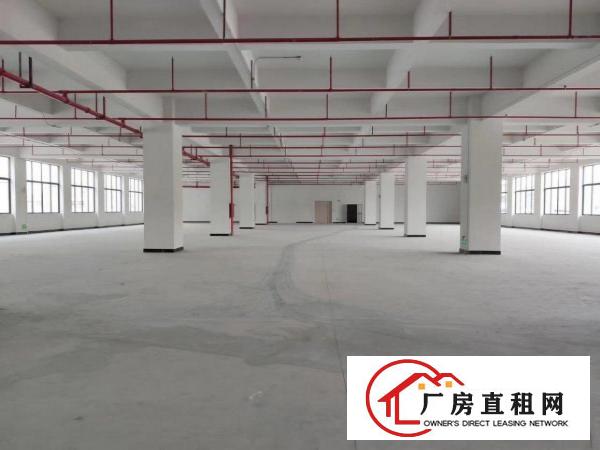  常平全新现代化工业园，近万平花园配带绿化！临近甬莞高速！