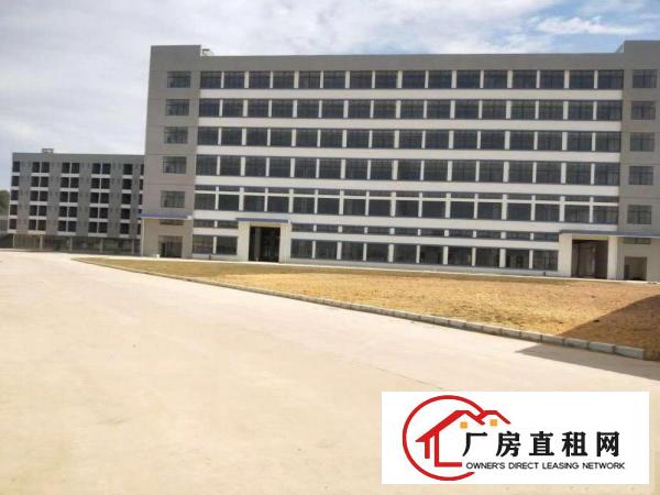  东莞常平中山路原房东全新一手红本独院厂房一楼层高七米可办环评