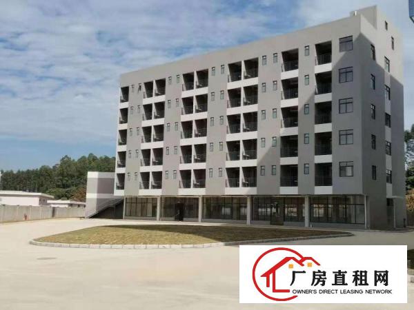  东莞常平中山路原房东全新一手红本独院厂房一楼层高七米可办环评