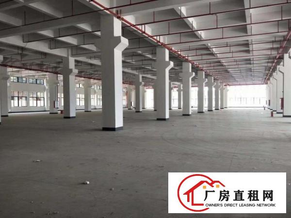  东莞常平中山路原房东全新一手红本独院厂房一楼层高七米可办环评