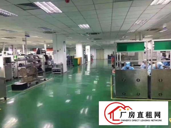  上坑全新标准一楼1200平高度7米可分租