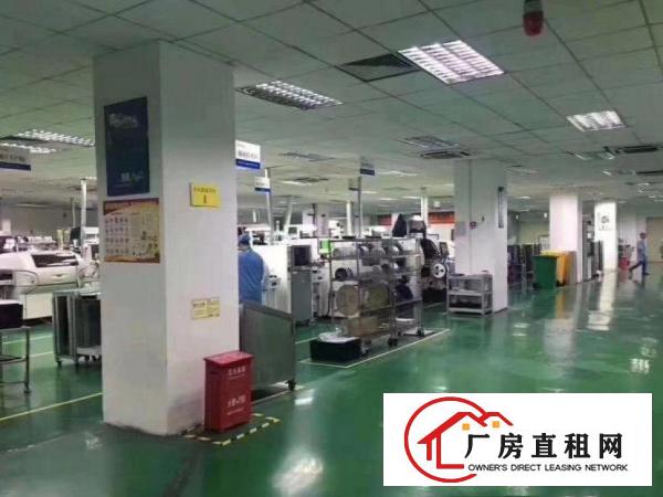  上坑全新标准一楼1200平高度7米可分租