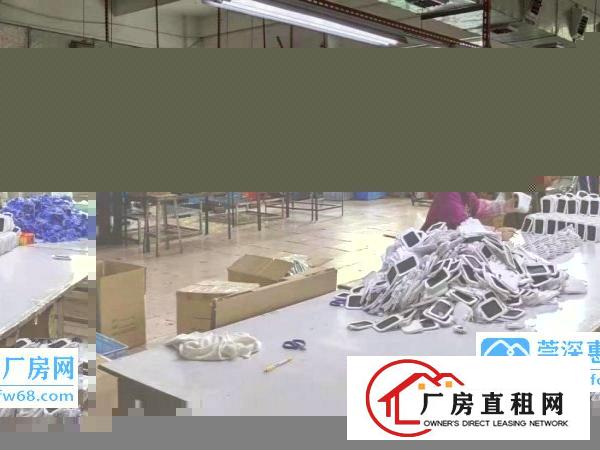  朗洲独门独院原房东一楼1000平招租实际面积可办环评