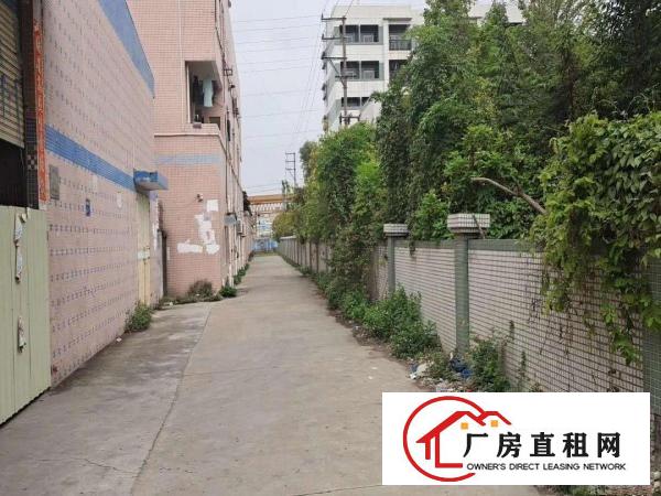  厂房低价出租，常平可以分租，可整租