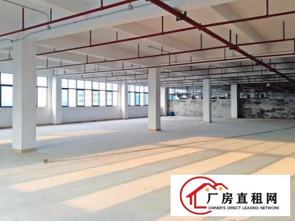  市重大项目、环保基地厂房表面处理、印花厂房招商啦