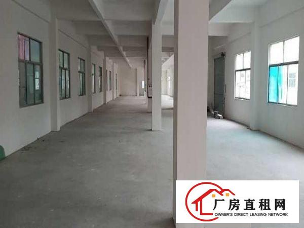  出租常平镇万布路4000平