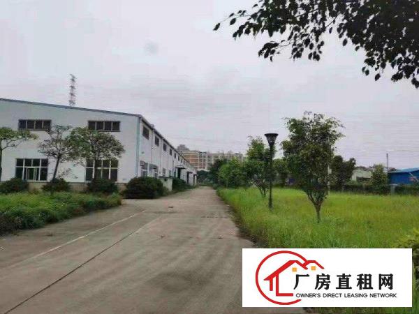  常平全新原房东独院1300平钢构，滴水9米工业用地带装修