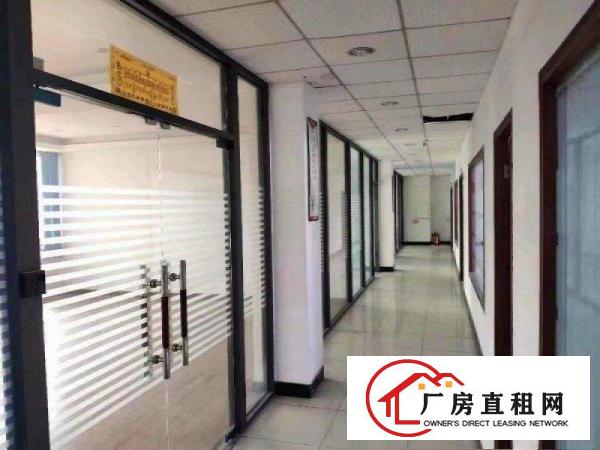  常平全新原房东独院1300平钢构，滴水9米工业用地带装修