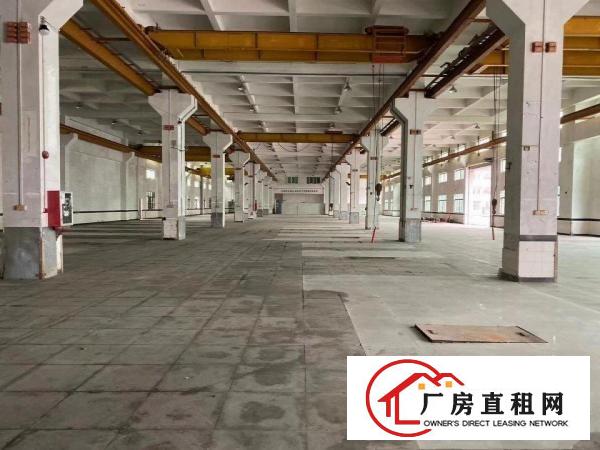  原房东!原房东!常平独院3层厂房12000平方。