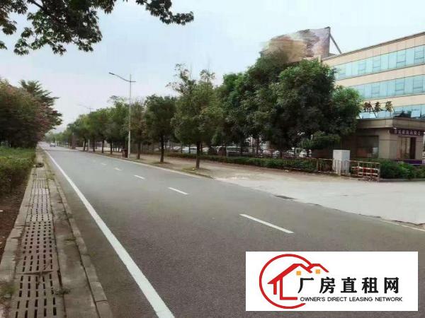  出租常平镇独院厂房钢构厂房