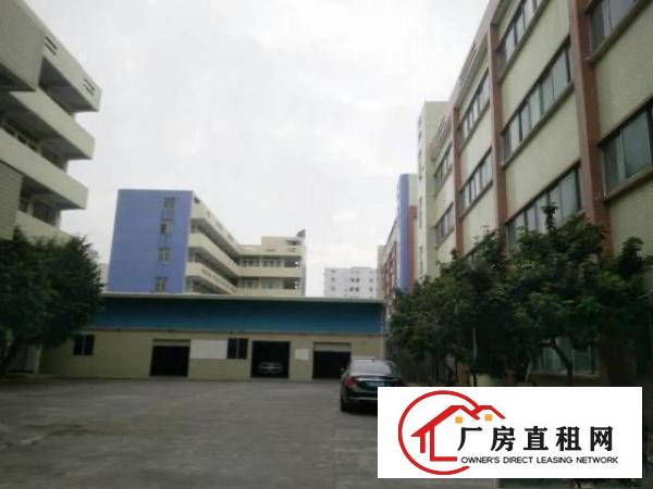  原房东标准厂房三楼四楼1000平-2000平出租可分租
