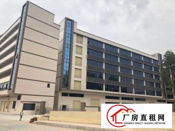  原房东标准厂房三楼四楼1000平-2000平出租可分租